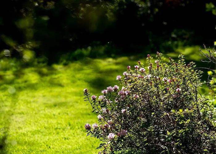 Charming 18th Century Semesterbostad Topcliffe Station